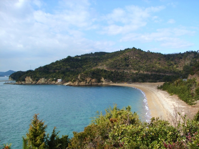 直島の海